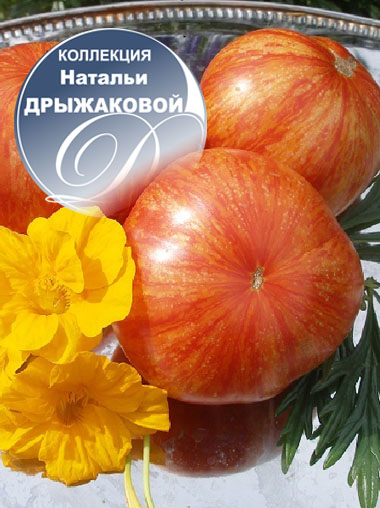 Томат Sunrise Jazz (Джаз — Восход, Джаз на Восходе)