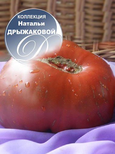 Лавандовое озеро томат описание