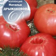 увеличить изображение