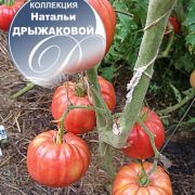 увеличить изображение