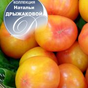увеличить изображение