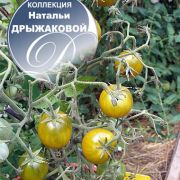 увеличить изображение