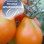 увеличить изображение