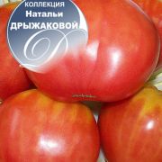 увеличить изображение