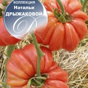 увеличить изображение