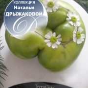 увеличить изображение