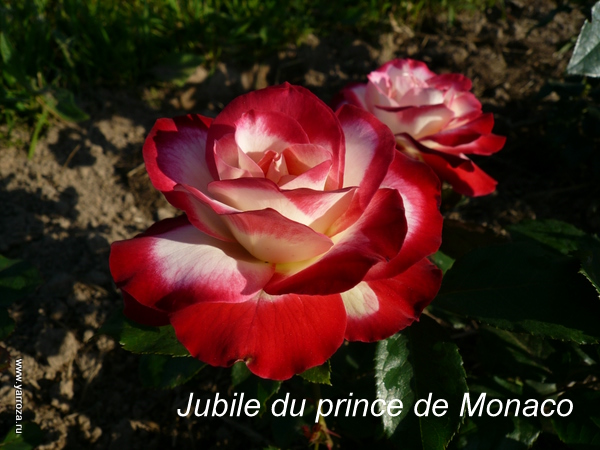 Jubilé du prince de Monaco 