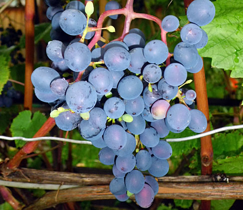 Катыр-2 Катыр-2