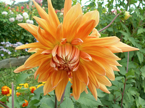 Балерина Уланова Балерина Уланова