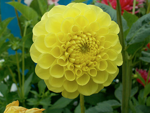 Тархеднор Тархеднор