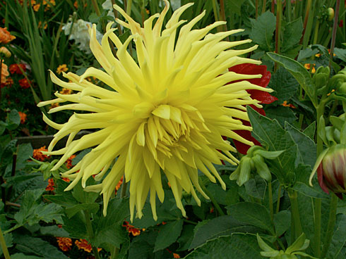 Kennemerland Kennemerland