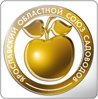 Золотое яблоко Золотое яблоко