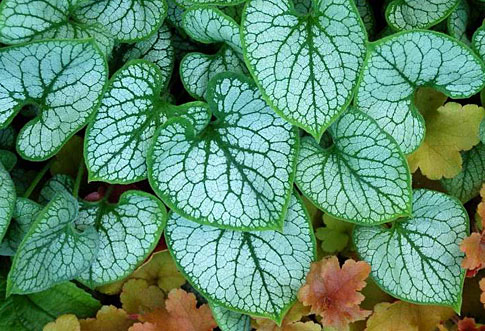 Джек Фрост (Jack Frost) Джек Фрост (Jack Frost)