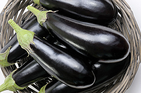 Багира Багира